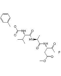  Z-VAD-FMK 10mg