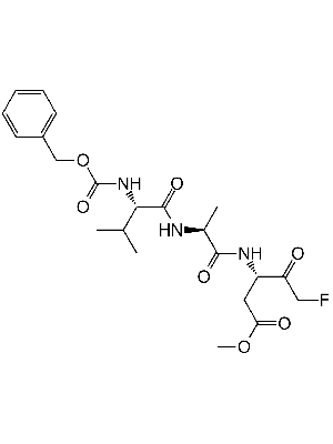  Z-VAD-FMK 10mg